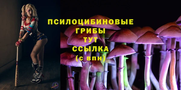ECSTASY Беломорск