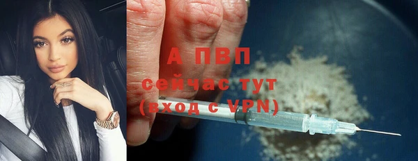 тгк Белокуриха