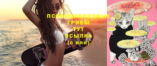 тгк Белокуриха