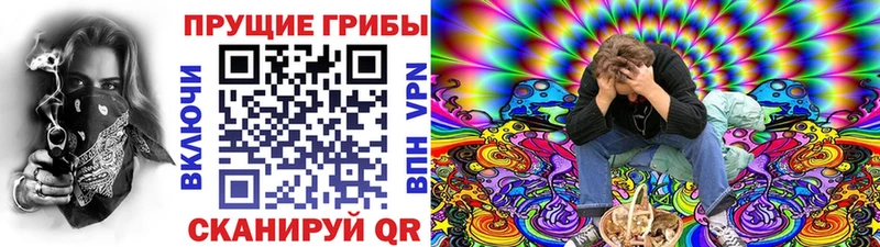 где продают наркотики  Катайск  площадка как зайти  Псилоцибиновые грибы Psilocybe 