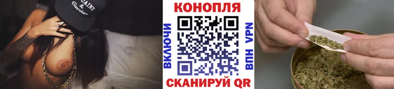 shop телеграм  хочу наркоту  Катайск  Каннабис ГИДРОПОН 